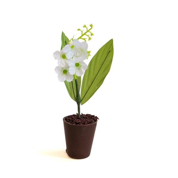 Pot de Muguets
