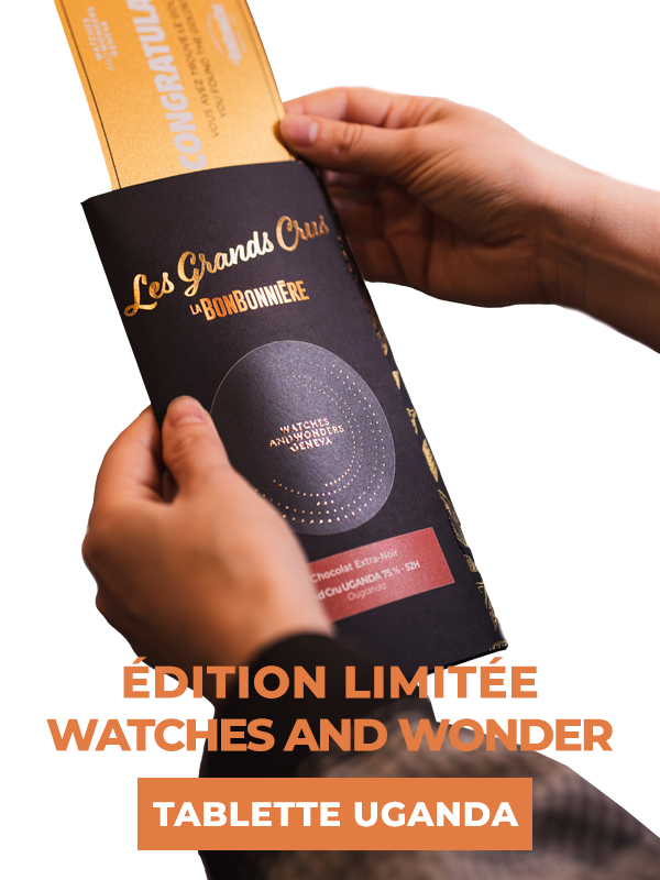 vignette-bb-ecommerce_watchesandwonder