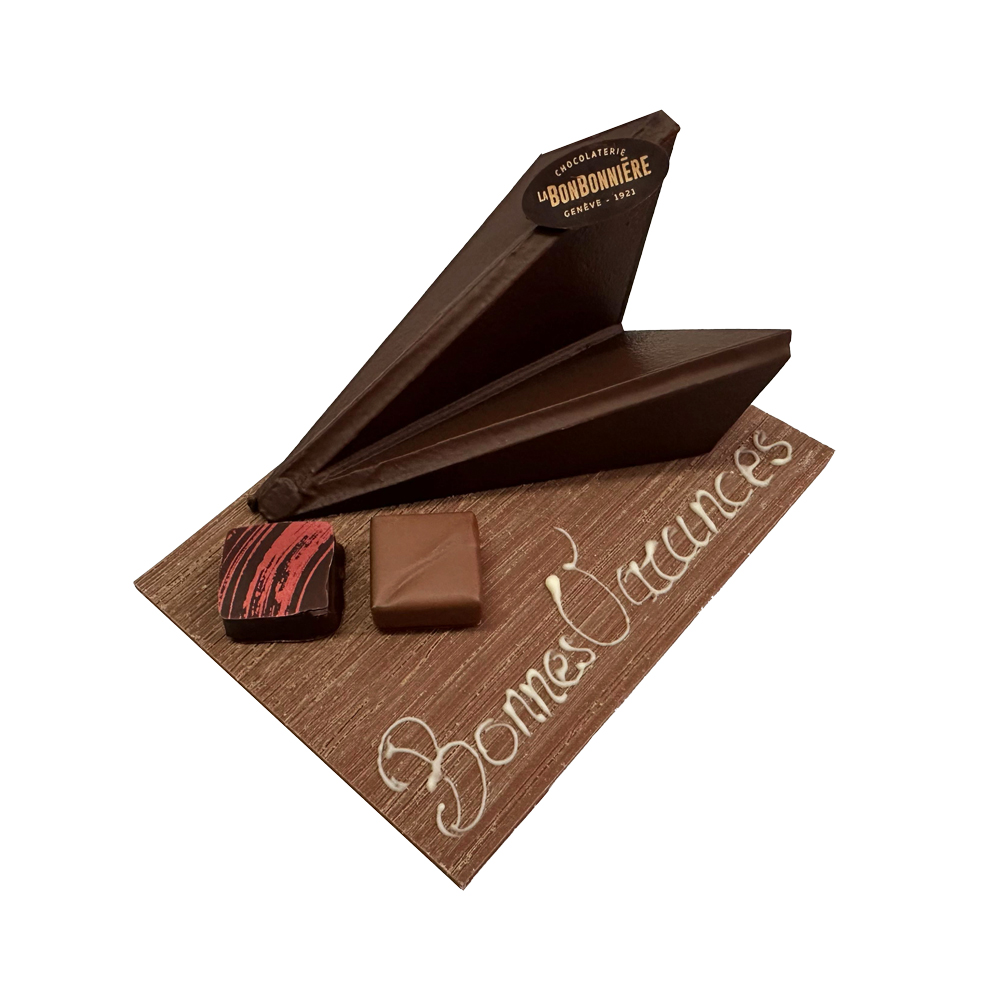 Avion Origami – Image 2